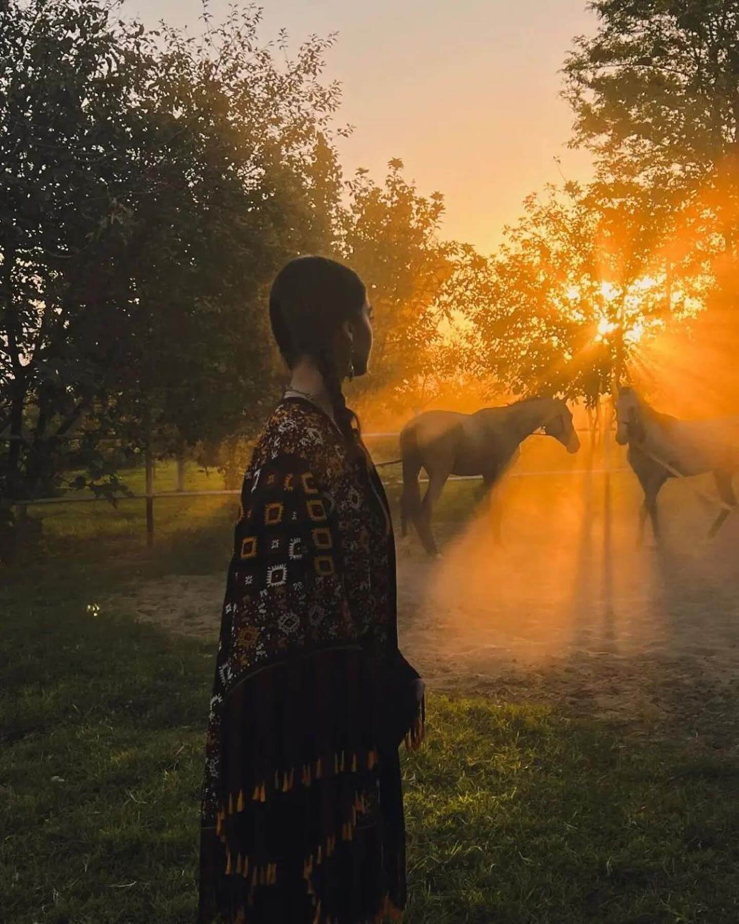 Getting to Know Akhal-Teke Horses